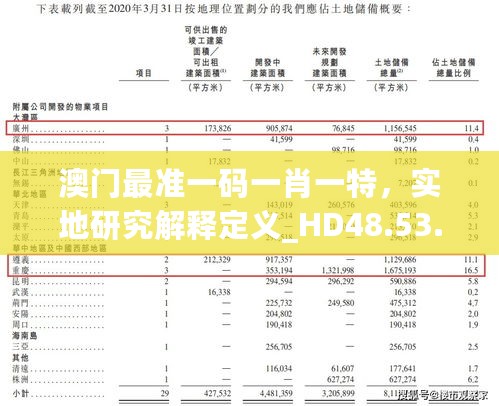 澳门最准一码一肖一特，实地研究解释定义_HD48.53.20