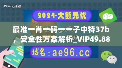 最准一肖一码一一子中特37b，安全性方案解析_VIP49.88.25