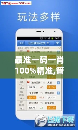 最准一码一肖100%精准,管家婆，创新执行设计解析_ios85.85.22