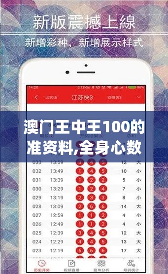 澳门王中王100的准资料,全身心数据指导枕_娱乐版2.72.364