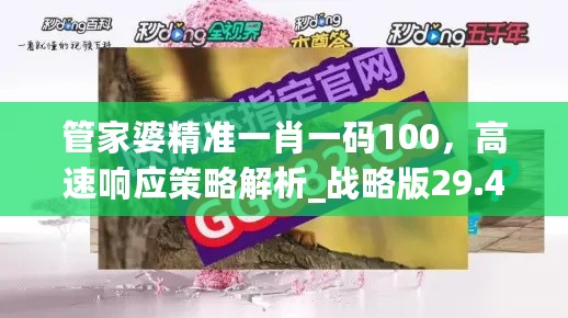 管家婆精准一肖一码100，高速响应策略解析_战略版29.43.41