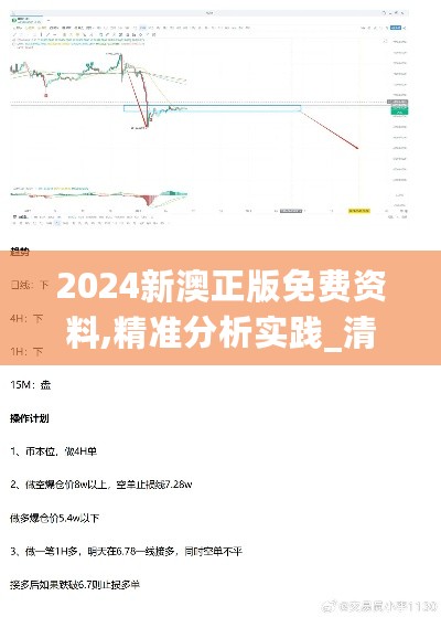 2024新澳正版免费资料,精准分析实践_清新版2.72.911