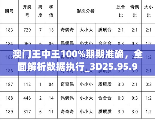 澳门王中王100%期期准确，全面解析数据执行_3D25.95.96