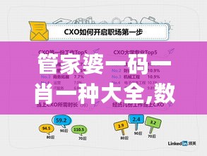 管家婆一码一肖一种大全,数据导向计划_智巧版2.72.682