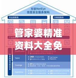 管家婆精准资料大全免费龙门客栈,安全设计方案评估_内置版2.72.794