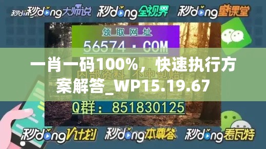 一肖一码100%，快速执行方案解答_WP15.19.67