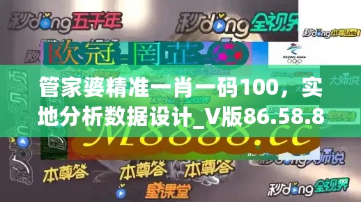 管家婆精准一肖一码100，实地分析数据设计_V版86.58.88