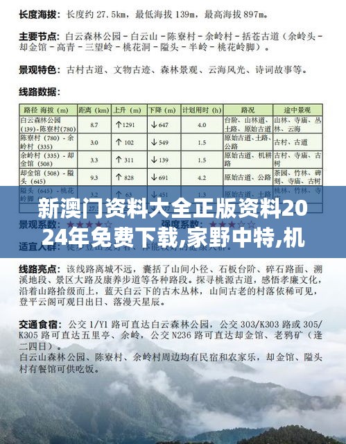 新澳门资料大全正版资料2024年免费下载,家野中特,机制评估方案_轻量版2.72.990