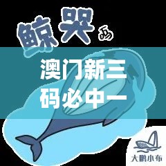 澳门新三码必中一免费,专家权威解答_原汁原味版2.72.290