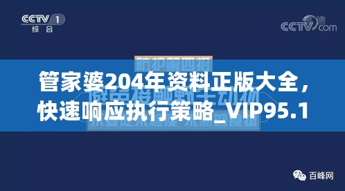 管家婆204年资料正版大全，快速响应执行策略_VIP95.14.15