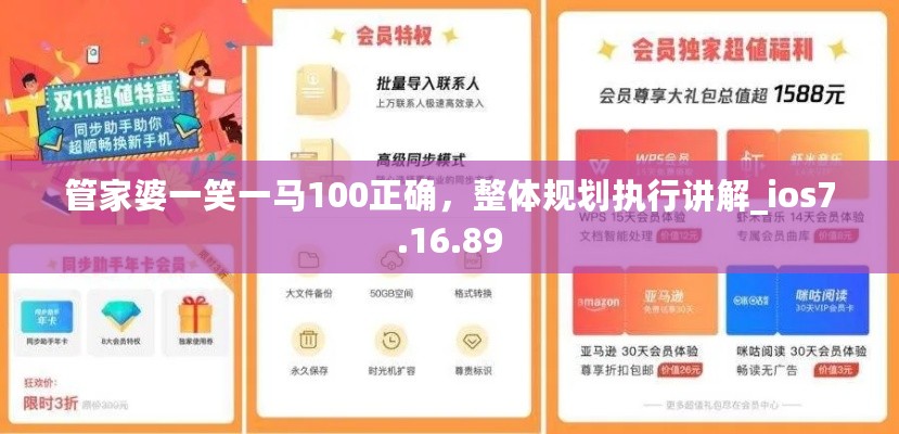 管家婆一笑一马100正确，整体规划执行讲解_ios7.16.89