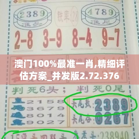 澳门100%最准一肖,精细评估方案_并发版2.72.376