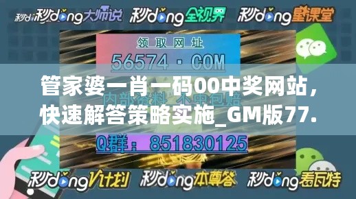 管家婆一肖一码00中奖网站，快速解答策略实施_GM版77.98.79