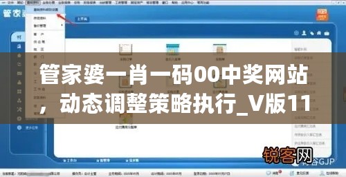 管家婆一肖一码00中奖网站，动态调整策略执行_V版11.15.15