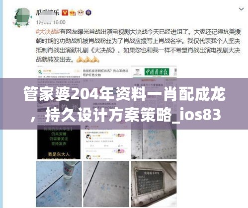 管家婆204年资料一肖配成龙，持久设计方案策略_ios83.9.11