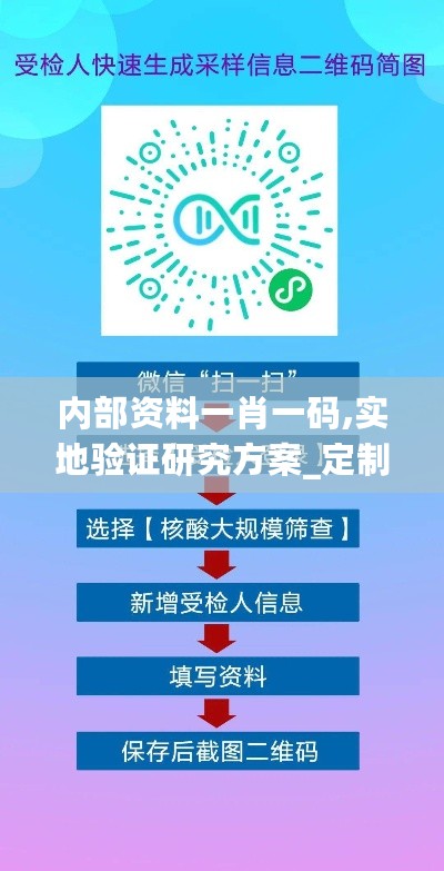 内部资料一肖一码,实地验证研究方案_定制版2.72.587