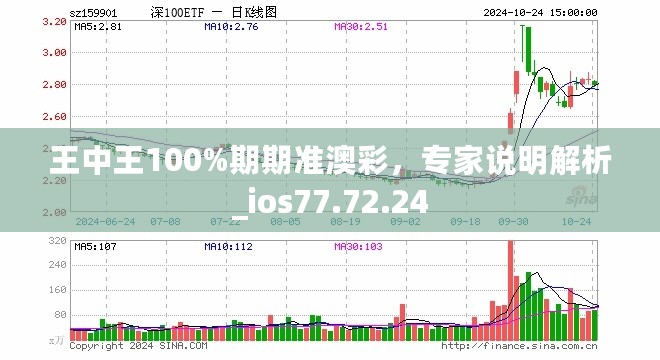 王中王100%期期准澳彩，专家说明解析_ios77.72.24