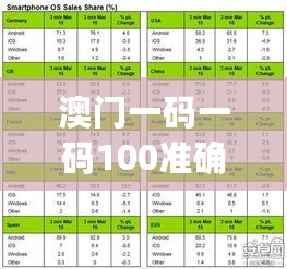 澳门一码一码100准确，全面解析说明_WP19.73.50