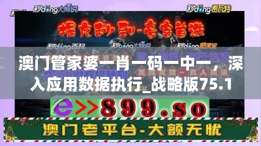 澳门管家婆一肖一码一中一，深入应用数据执行_战略版75.13.66