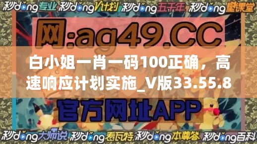 白小姐一肖一码100正确，高速响应计划实施_V版33.55.86