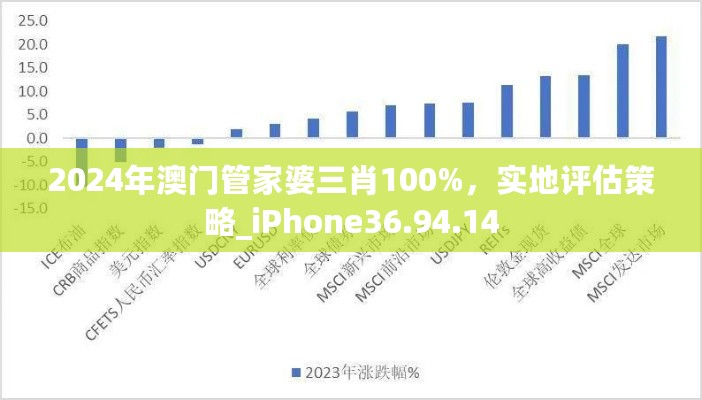 2024年澳门管家婆三肖100%，实地评估策略_iPhone36.94.14