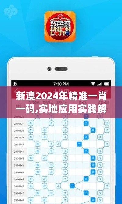 新澳2024年精准一肖一码,实地应用实践解读_升级版2.72.570