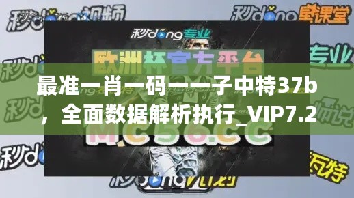 最准一肖一码一一子中特37b，全面数据解析执行_VIP7.25.79