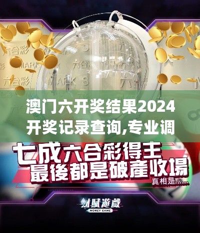 澳门六开奖结果2024开奖记录查询,专业调查具体解析_优雅版2.72.423