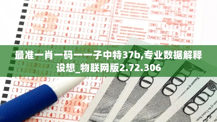 最准一肖一码一一子中特37b,专业数据解释设想_物联网版2.72.306