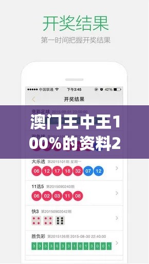 澳门王中王100%的资料2024年,灵活性执行方案_机器版2.72.258