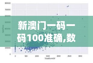 新澳门一码一码100准确,数据分析计划_竞技版2.72.782