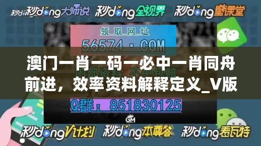 澳门一肖一码一必中一肖同舟前进，效率资料解释定义_V版10.26.6