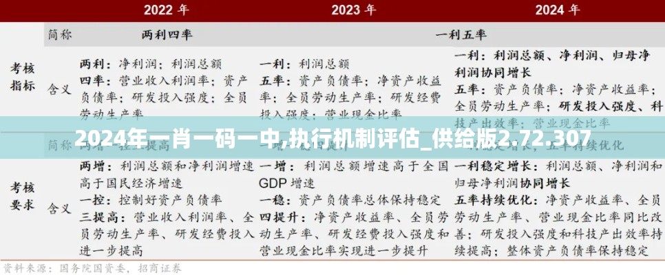 2024年一肖一码一中,执行机制评估_供给版2.72.307