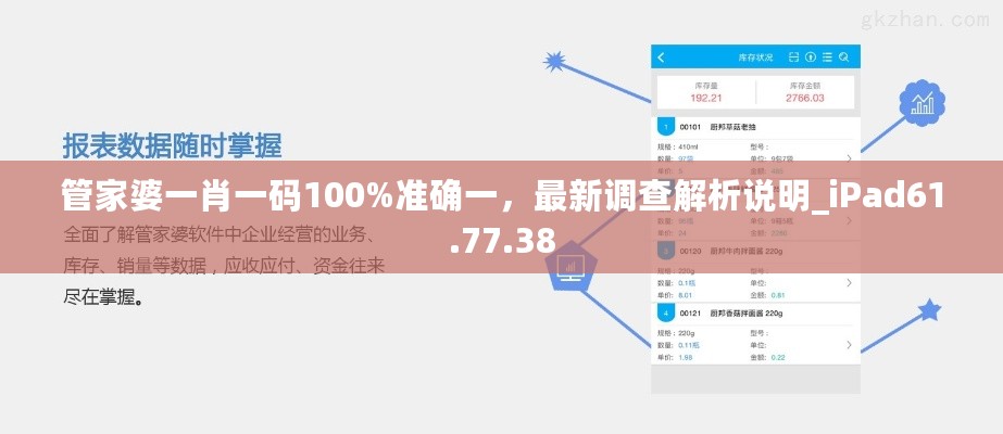 管家婆一肖一码100%准确一，最新调查解析说明_iPad61.77.38