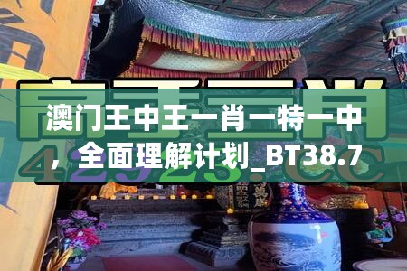 澳门王中王一肖一特一中，全面理解计划_BT38.7.45