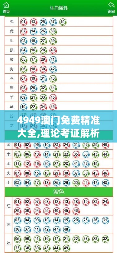 4949澳门免费精准大全,理论考证解析_教育版2.72.358