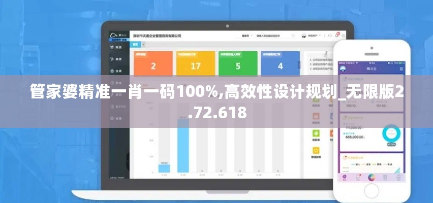 管家婆精准一肖一码100%,高效性设计规划_无限版2.72.618