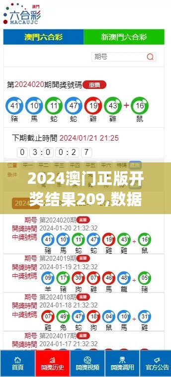 2024澳门正版开奖结果209,数据解析引导_明亮版2.72.873