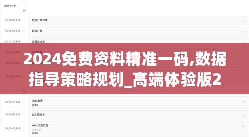 2024免费资料精准一码,数据指导策略规划_高端体验版2.72.265