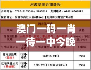 澳门一码一肖一待一中今晚,科学分析解释说明_投影版2.72.523