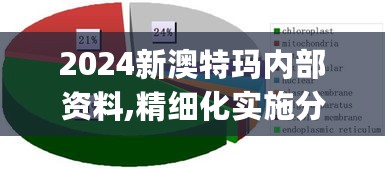 精细化实施分析