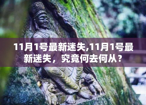 迷失之路，探寻最新迷失背后的方向