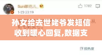 孙女给去世姥爷发短信收到暖心回复,数据支持执行方案_NE版3.69.55