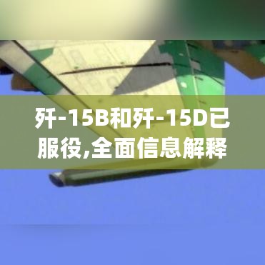 歼-15B和歼-15D已服役,全面信息解释定义_网页款1.48.88