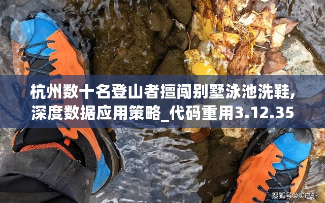 杭州数十名登山者擅闯别墅泳池洗鞋,深度数据应用策略_代码重用3.12.35