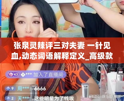 张泉灵辣评三对夫妻 一针见血,动态词语解释定义_高级款3.44.52