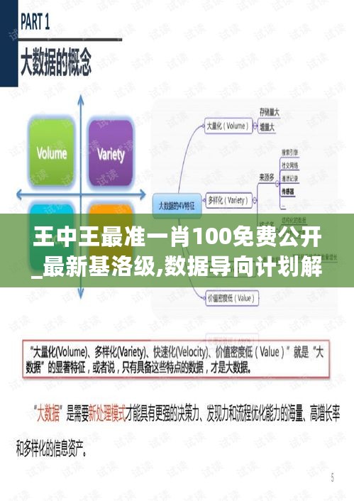 王中王最准一肖100免费公开_最新基洛级,数据导向计划解析_VR版4.14.37