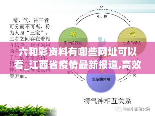 六和彩资料有哪些网址可以看_江西省疫情最新报道,高效设计实施策略_任意编码2.66.33