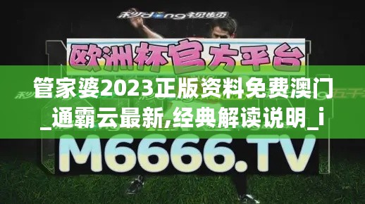 管家婆2023正版资料免费澳门_通霸云最新,经典解读说明_ios7.17.68