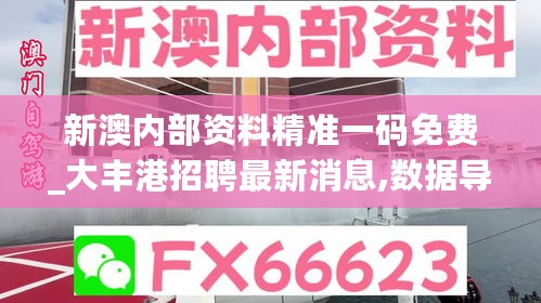 新澳内部资料精准一码免费_大丰港招聘最新消息,数据导向计划_黑科技版9.62.61